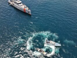 Título del artículo