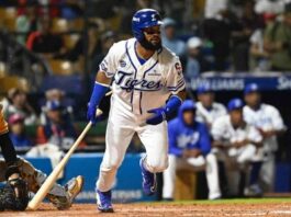 Audo Vicente justifica los movimientos de Licey Audo Vicente justifica los movimientos de Licey