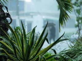 Clima en RD: aumentan a cuatro las provincias en alerta roja