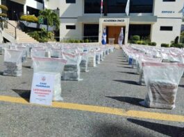 Decomisan tras tiroteo 1.6 toneladas de cocaína en Pedernales