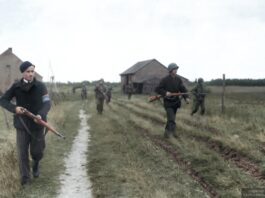 En 1944, la ocupación nazi de Holanda causó una hambruna brutal. Y gracias a ella descubrimos la celiaquía