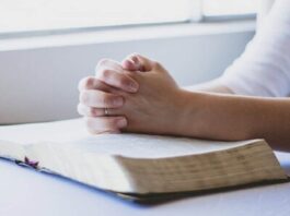 España: Testigos de Jehová pueden ser considerados "secta destructiva"