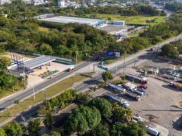 Expertos plantean soluciones para frenar muertes en la 6 de Noviembre Expertos plantean soluciones para frenar muertes en la 6 de Noviembre