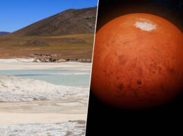 Hemos encontrado una cápsula del tiempo en forma de sal en Chile. Y ahora encontrar vida en Marte está más cerca