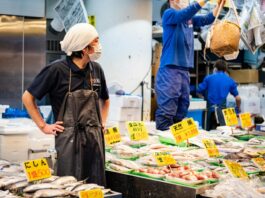Japón está desesperado por atraer talento pero vive una paradoja: ese talento tiene que pagar para trabajar