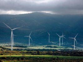 La eléctrica de José Elías acuerda con MasOrange su entrada al sector de las telecomunicaciones