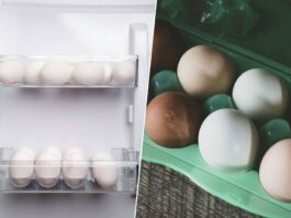 La importancia de almacenar los huevos correctamente en la nevera