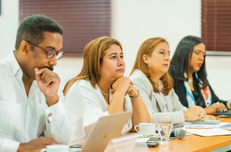 Lanzan Comité Nacional para promover el Año Internacional de los Voluntarios para el Desarrollo Sostenible.