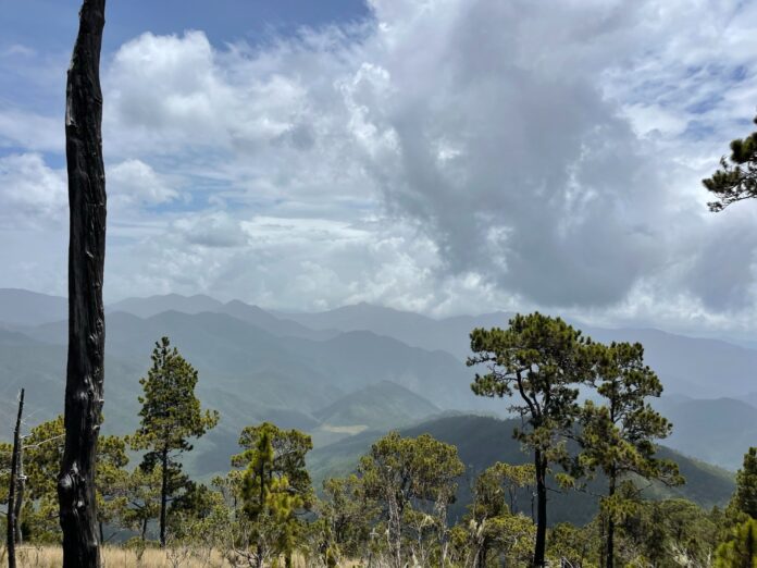 Medio Ambiente activa protocolo preventivo en el Parque Nacional Armando Bermúdez tras alerta del COE