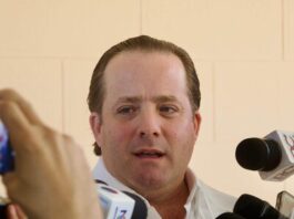 Paliza reafirma que alianzas del PRM son decisión del partido