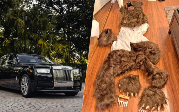 Ponerse un traje de oso para defraudar más de 141.000 dólares a un seguro de coche parecía creíble. Hasta que dejó de serlo