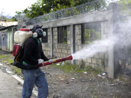 SP reporta cero casos de cólera, dengue, malaria y COVID-19 SP reporta cero casos de cólera, dengue, malaria y COVID-19