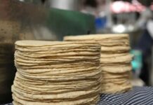 Secretaría de Agricultura asegura estabilidad en precio de tortilla Secretaría de Agricultura asegura estabilidad en precio de tortilla