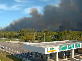 Sequía agravan control de más de 200 incendios en Florida y Georgia