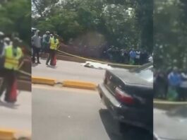 Un presunto delincuente ultimado en el puente de Villa Mella