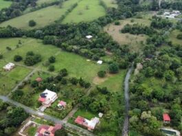 ¿Quiénes no pueden participar en la subasta de bienes incautados?