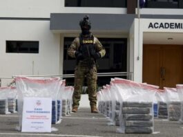 Arrestan tres venezolanos tras decomiso de 978 paquetes de cocaína