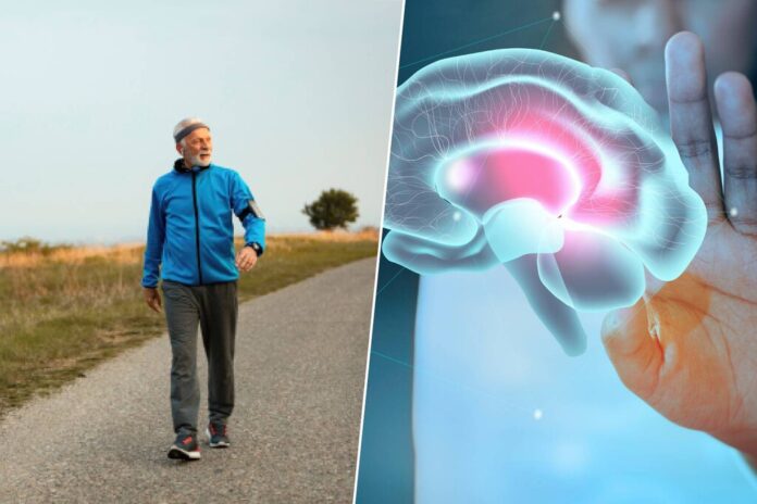 Dime a qué velocidad caminas a los 45 años y te diré cómo envejece tu cerebro: la ciencia detrás del 