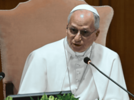 El papa advierte sobre el reto entre salud mental y tecnología
