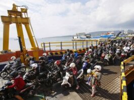 Estampida en Estados Unidos en festival deja al menos 19 heridos