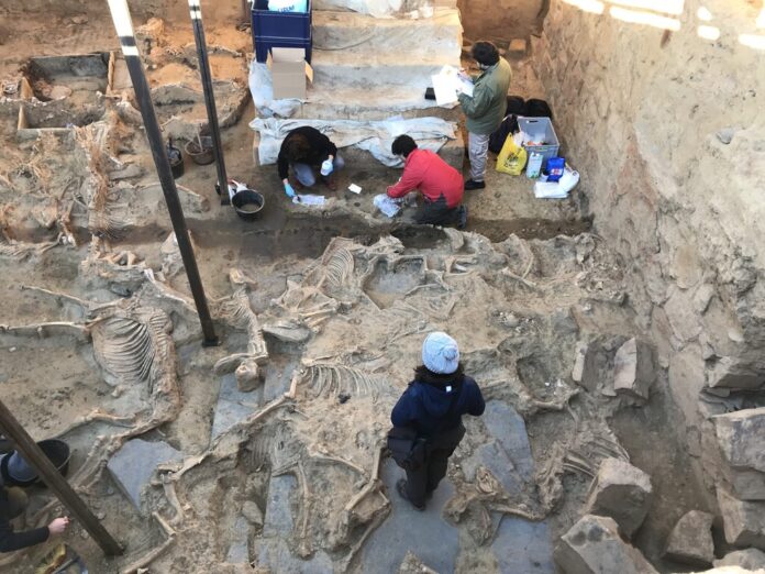 La civilización tartésica es uno de los grandes enigmas de la península. Ahora está desvelándose desde un pueblo de Badajoz