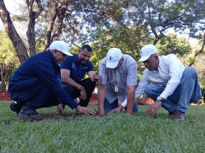 Más de 100 mil árboles fueron plantados de manera simultánea a propósito de la conmemoración del Día Nacional del Árbol