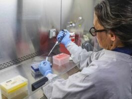 Recuerdos del COVID-19 se avivan por brote de hantavirus en crucero
