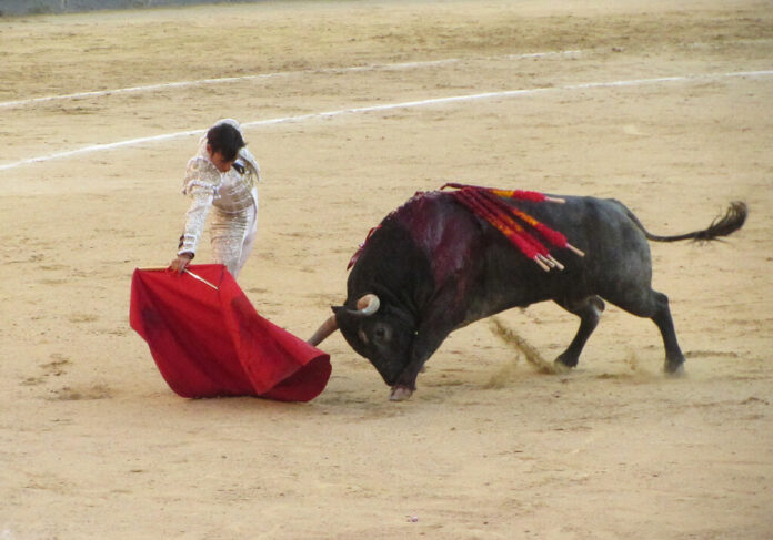 Si la pregunta es cómo frenar la sangría de la España vaciada, en Cantabria lo tienen claro: subvencionando fiestas con toros
