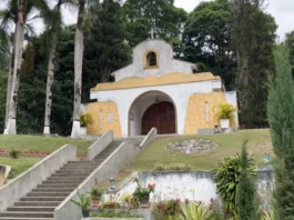 “Un dólar por el Santa Rosa”: Así puedes contribuir a restaurar el seminario de Caracas