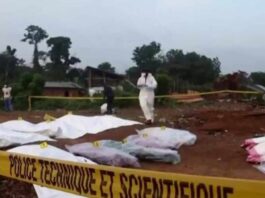 Violencia en República Democrática del Congo: masacre en Ituri