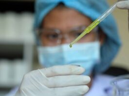 Aclaran un misterio de décadas sobre parásito de la malaria Aclaran un misterio de décadas sobre parásito de la malaria