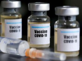 Desarrollan con IA antígeno para vacuna contra los coronavirus