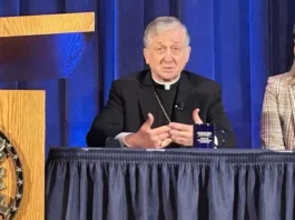 El Cardenal Cupich condena la quema de una cruz en el Grant Park de Chicago
