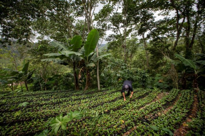 El Fondo Verde del Clima aprueba recursos para la elaboración de CReW RD: un proyecto con potencial de impactar a más de un millón de personas
