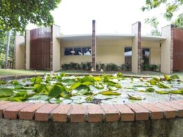 El Jardín Botánico estrena nuevas áreas para visitantes