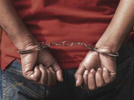 Envían a prisión preventiva a acusado de matar a raso en Nagua