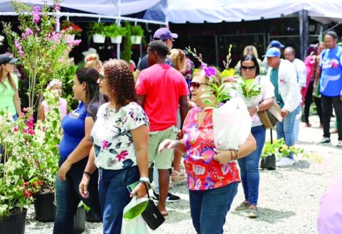 Festival de las Flores: 15 años elevando cultura turismo de Jarabacoa