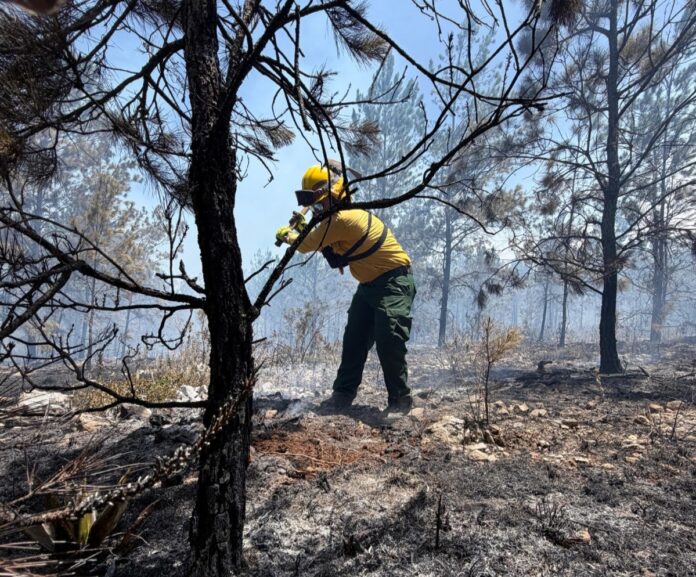Incendio en Sierra de Bahoruco entra en fase decisiva tras controlar el 70 % del perímetro afectado