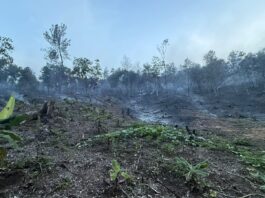Medio ambiente controla incendio forestal en Bonao y despliega brigadas ante nueva incidencia en Sierra de Bahoruco