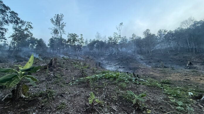 Medio ambiente controla incendio forestal en Bonao y despliega brigadas ante nueva incidencia en Sierra de Bahoruco