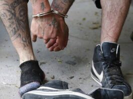 Policía brasileña busca a 25 miembros de Tren de Aragua por tráfico