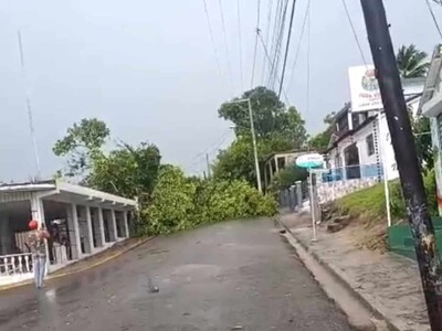 Tornado en Loma de Cabrera causa daños y árboles caídos Tornado en Loma de Cabrera causa daños y árboles caídos