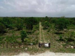 Caso del Aeropuerto de Bávaro es referencia de derecho