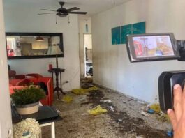 Creyó que madre e hijo estaban de fin de semana; los hallaron muertos
