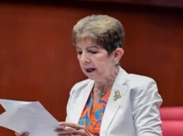 Estos fueron los debates de los senadores para aprobar el Código Penal