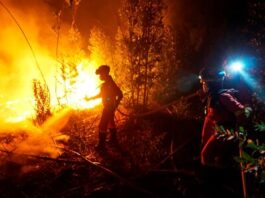 Incendio forestal en Madrid provoca evacuaciones masivas Incendio forestal en Madrid provoca evacuaciones masivas