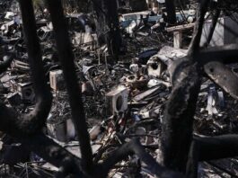 Incendios en España evolucionan "favorablemente" preocupa ola calor