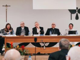 Jóvenes católicos de Brasil piden más doctrina y cuidado litúrgico y menos política