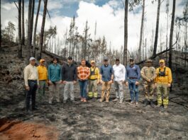 Medio Ambiente confirma control del 99 % del incendio forestal en la Sierra de Bahoruco Medio Ambiente confirma control del 99 % del incendio forestal en la Sierra de Bahoruco
