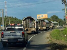 Migración: n haitiano muerto y un agente herido en operativo en Verón